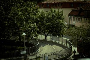 המהלך הדרמטי באו״ם: האם ישראל צפויה לאבד זכות הצבעה על רקע משבר האנרגיה הגלובלי?